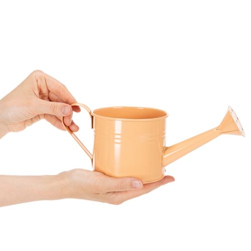 daiktų Dekoratyvinis laistytuvų rinkinys pastelinių lašišos, žalios ir gelsvai žalios spalvos - metalinis vazonas Ø11cm, aukštis 10cm, 8 dalys