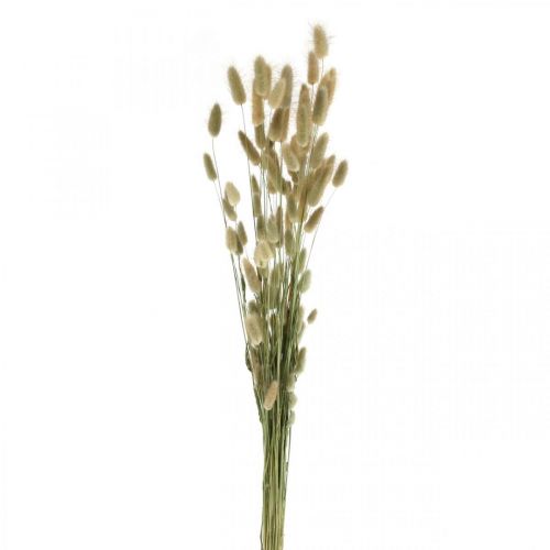 daiktų Džiovintos Lagurus, Lagurus džiovintos gėlės, Natūrali Lagurus žolė L30-70cm 45g