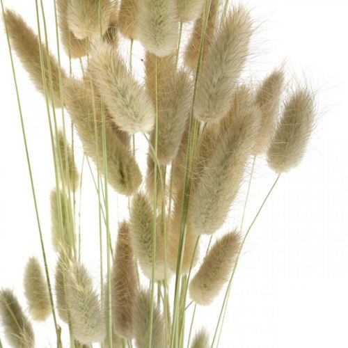 daiktų Džiovintos Lagurus, Lagurus džiovintos gėlės, Natūrali Lagurus žolė L30-70cm 45g