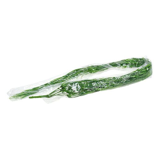 Floristik24 Dekoratyvinė kabykla žalia 112cm