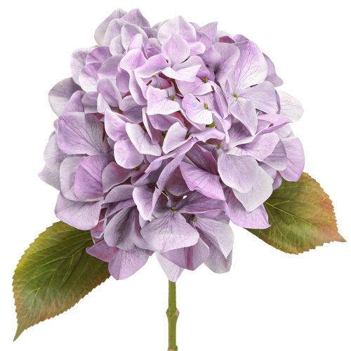 daiktų Dekoratyvinės hortenzijos Dirbtinės gėlės violetinės gėlės Ø18cm 69cm 2vnt