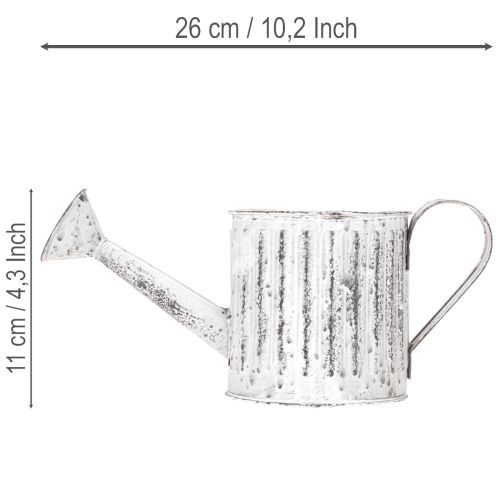 Dekoratyvinė laistytuvė, vazonas, laistytuvas sodinimui Ø10.5cm | Floristik24.lt