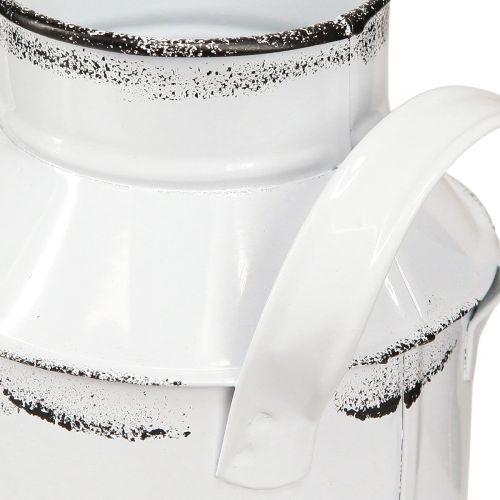 daiktų Dekoratyvinis ąsotis su rankenomis metalinis baltas, juodas H13cm 2vnt