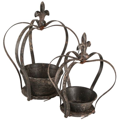 Dekoratyvinė karūnėlė antikvarinė tamsiai ruda rūdžių H22/27cm rinkinys iš 2 vnt