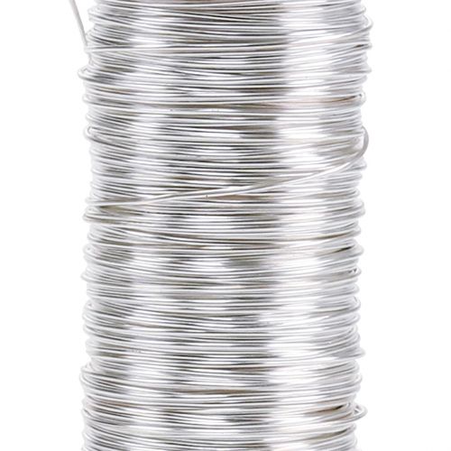 daiktų Dekoratyvinė emaliuota viela sidabras Ø0,50mm 50m 100g