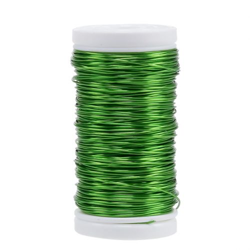 Floristik24 Deco emaliuota viela Apple Green Ø0,50mm 50m 100g