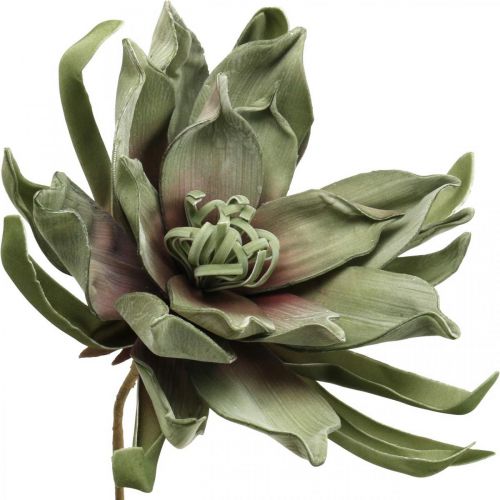 Floristik24 Deco lotoso gėlė dirbtinė lotoso gėlė dirbtinė gėlė žalia L70cm