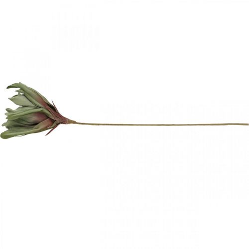 Floristik24 Deco lotoso gėlė dirbtinė lotoso gėlė dirbtinė gėlė žalia L70cm