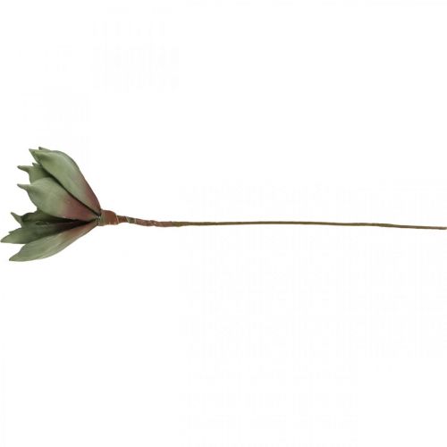 Floristik24 Deco lotoso žiedas, lotoso žiedas, šilkinis žiedas žalias L64cm
