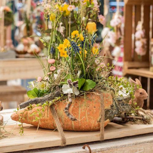 Dekoratyvinė morka, betono puošmena sodinimui, Velykų, morkų augalo vazonas, pavasario puošmena L28cm