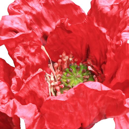 daiktų Deco Poppy Didelės Dirbtinės Gėlės Raudonos Aguonos 88cm 3 Vnt