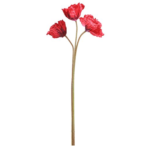 daiktų Deco Poppy Didelės Dirbtinės Gėlės Raudonos Aguonos 88cm 3 Vnt