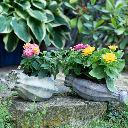 Floristik24 Dekoratyvinė aguonų kapsulė, betoninė vazonėlis, vazonėlis, kapo puošmena L26cm