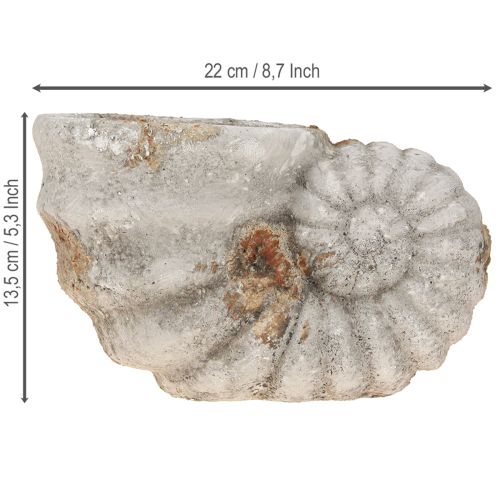 daiktų Dekoratyvinis kriauklių akmens išvaizdos vazonas 22,5x13,5x13,5 cm