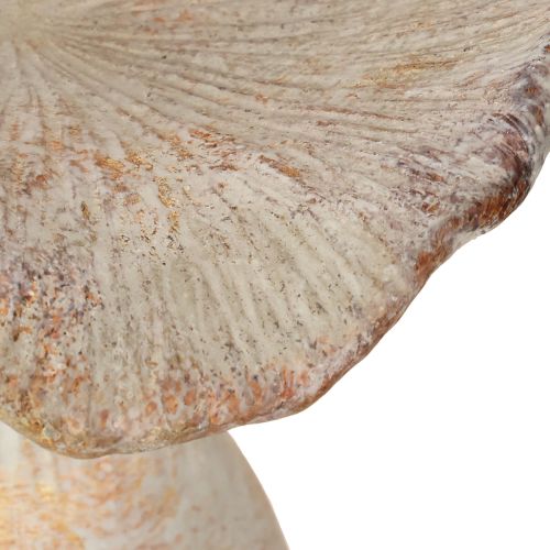 daiktų Dekoratyvinė grybo lieto akmens rudens dekoracija pilka nuplauta 19 × 15 cm aukščio 23 cm
