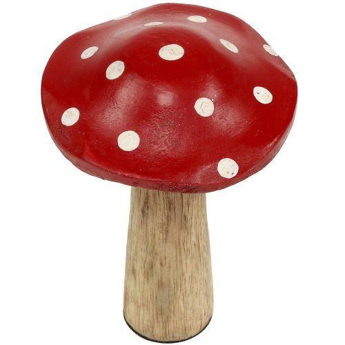 Floristik24 Mediniai rupūžės 14cm 6vnt