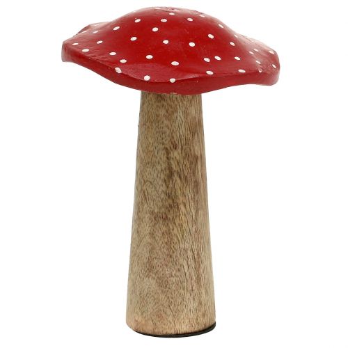 Floristik24 Mediniai rupūžės 14cm 6vnt