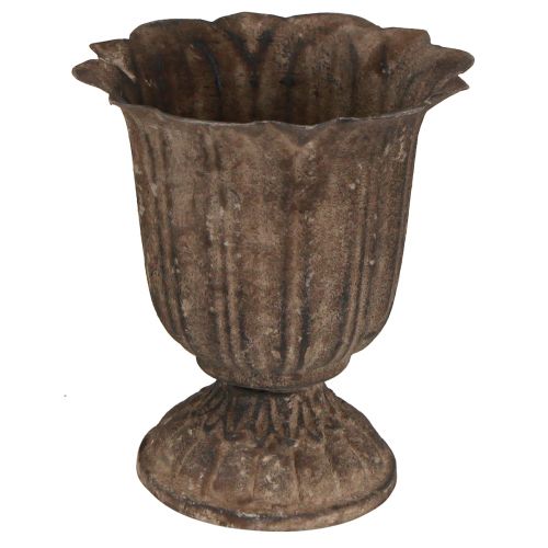 Floristik24 Dekoratyvinis trofėjus senovinis mini vazonas pilkai rudas Ø12cm H13cm