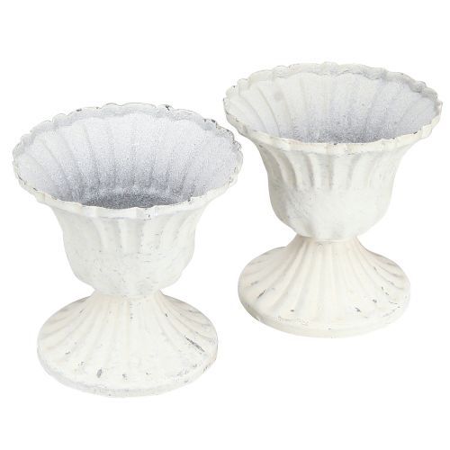 Floristik24 Dekoratyvinis puodelis Shabby Chic Chalice White Ø8cm A8,5cm 2vnt