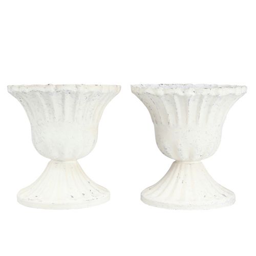 Floristik24 Dekoratyvinis puodelis Shabby Chic Chalice White Ø8cm A8,5cm 2vnt