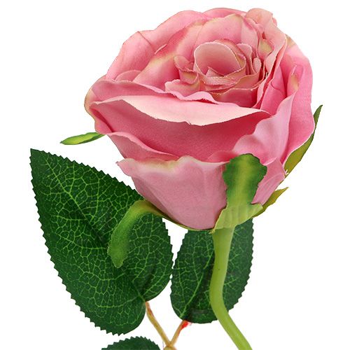Floristik24 Deco rožė Ø6cm sena rožė L50cm 1vnt