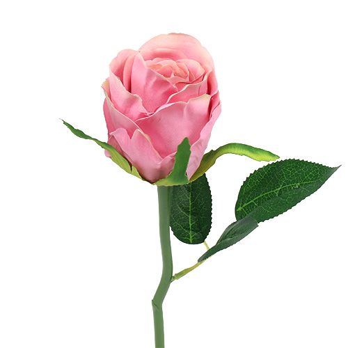 Floristik24 Deco rožė Ø6cm rožinė L30cm 6vnt
