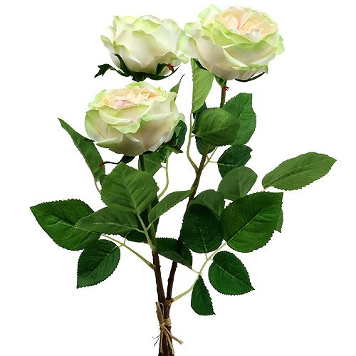 Floristik24 Deco rožių kreminė-rožinė Ø10cm 52cm 3vnt