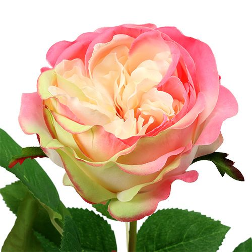 Floristik24 Deco rožė rožinė Ø10cm 52cm 3vnt