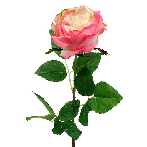 Floristik24 Deco rožė rožinė Ø10cm 52cm 3vnt