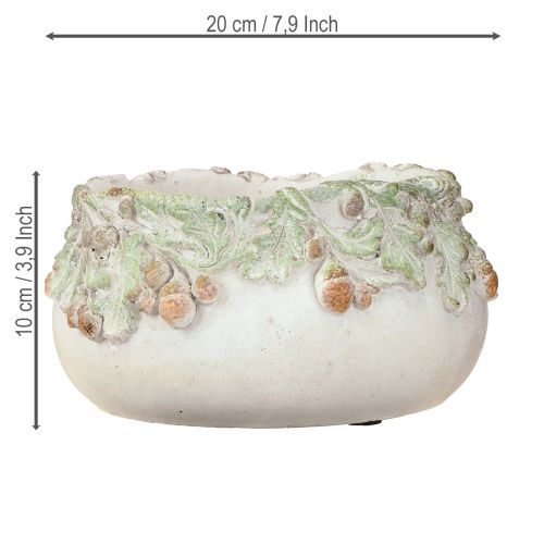 daiktų Dekoratyvinis dubuo iš lieto akmens, gilės, augalų dubuo, Ø20cm, aukštis10cm