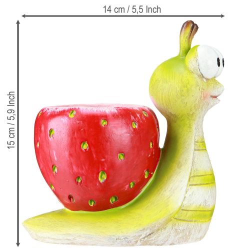 daiktų Dekoratyvinis sraigės formos vazonas braškėms, žalias-raudonas, 15,5 cm
