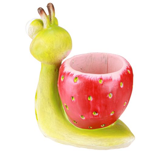 daiktų Dekoratyvinis sraigės formos vazonas braškėms, žalias-raudonas, 15,5 cm