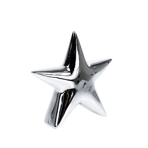 Floristik24 Deco star silver stovi 12cm 2vnt