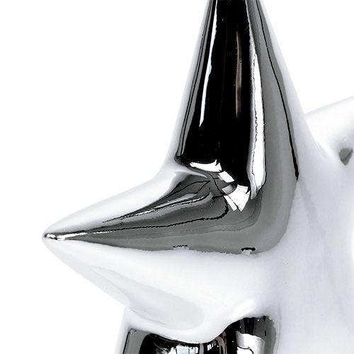 Floristik24 Deco star silver stovi 12cm 2vnt