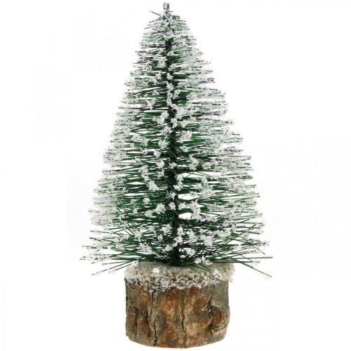Floristik24 Kalėdinė puošmena, dekoratyvinė eglutė, mini žalia eglė su sniegu H15cm Ø9,5cm 6 vnt.
