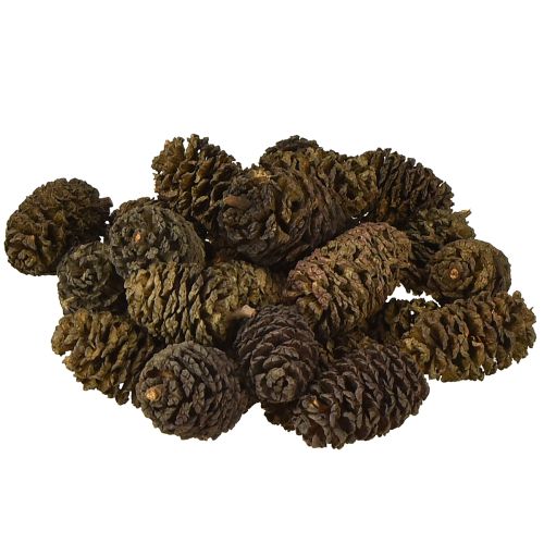Dekoratyviniai kankorėžiai iš alksnio natūralūs dekoravimui 3-4 cm 200 g