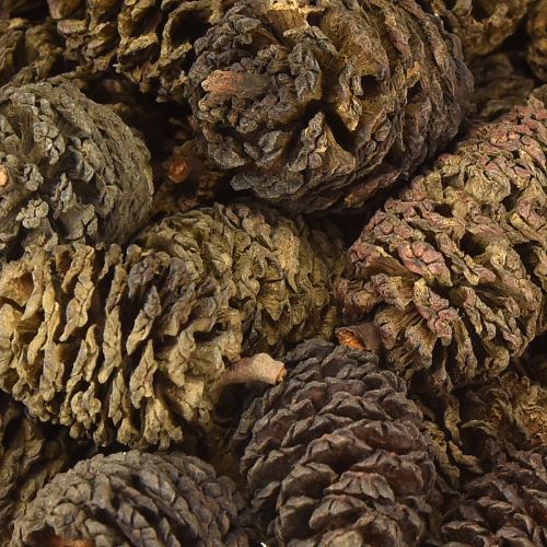 daiktų Dekoratyviniai kankorėžiai iš alksnio natūralūs dekoravimui 3-4 cm 200 g