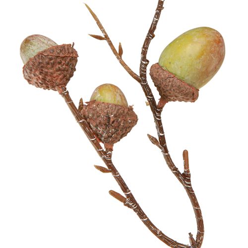 daiktų Dekoratyvinė gilių šakų dekoracija, žalia, rudens dekoracija, dirbtinė, 80 cm