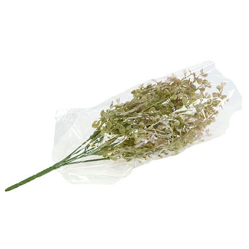 Floristik24 Dekoratyvinė šakelė šviesiai žalia 35cm