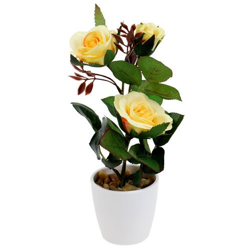 Floristik24 Dekoratyvinė rožė vazone geltona 23cm