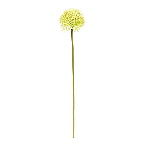 Floristik24 Deco allium kremas Ø6,5cm L39cm