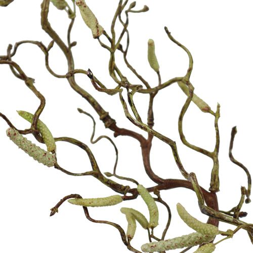 Floristik24 Dekoratyvinė beržo šaka 68cm