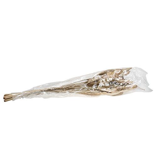 Floristik24 Dekoratyviniai lapai gamta 120cm 20 vnt