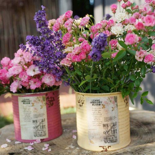 daiktų Dekoratyvinė skarda, abrikosų spalvos, metalinis augalų vazonas, vasarinė dekoracija, Ø15,5 cm, aukštis 15 cm