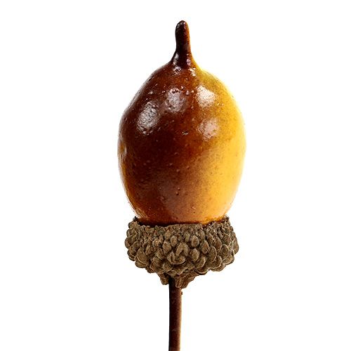 Floristik24 Dekoratyvinė gilė ant vielos 4cm L12cm 36vnt