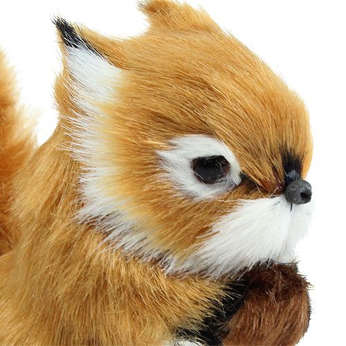 Floristik24 Dekoratyvinė voveraitė šviesiai ruda 8,5cm