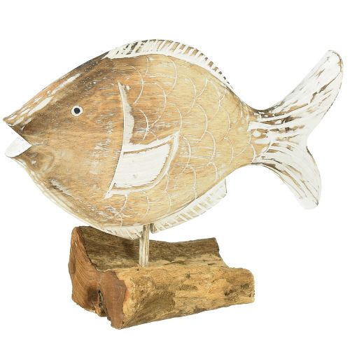 Dekoratyvinis žuvies medinis stovas ant šaknies jūrinės dekoracijos 27cm