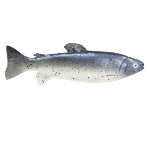 daiktų Dekoratyvinė žuvies maisto manekenė dirbtinė žuvis 31cm