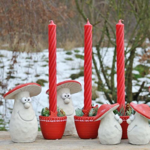 Floristik24 Dekoratyvinis grybas, rudens puošmena, grybas iš betono, laimės žavesys, papuošimas Naujųjų metų išvakarėms raudona, balta A20cm P10cm