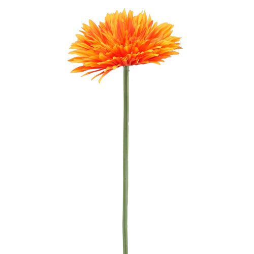 Floristik24 Deco gerbera oranžinė Ø15cm L88cm